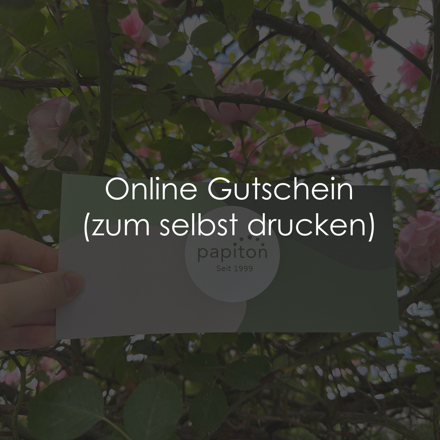 Papiton Online-Geschenk Gutschein ️ - 75€