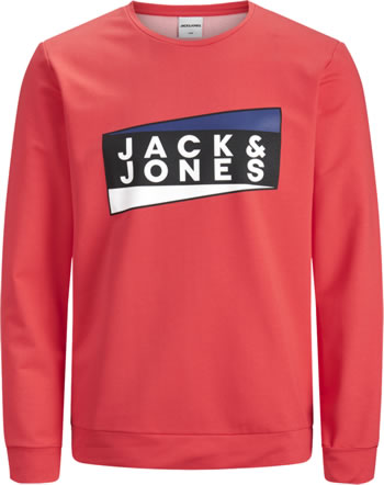 Jack & Jones Junior Sweatshirt JCOANTON bittersweet