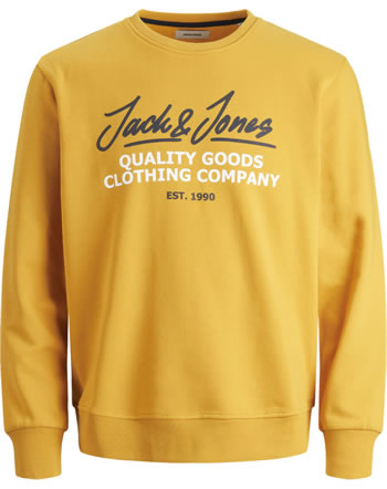 Jack & Jones Junior Sweatshirt JJHERRO golden orange 12190315