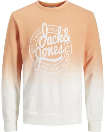 Jack & Jones Junior Sweatshirt JJTARIF shell coral