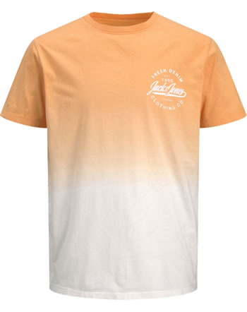 Jack & Jones Junior T-Shirt Kurzarm JJTARIF shell cora 12200252