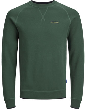 Jack & Jones Junior Knitted pullover JORJOES trecking green 12176122