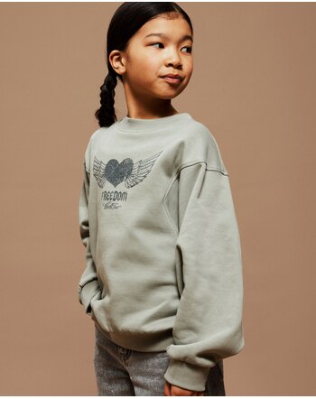 Name it Sweatshirt aus 100 % Baumwolle mit Glitzer-Print NKFBOIDAS - Shadow