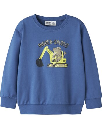 Name it Sweatshirt aus 100 % Baumwolle NMMVILDAR - Delft