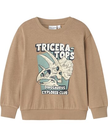 Name it Sweatshirt aus 100 % Baumwolle NMMVILDAR - Weathered Teak