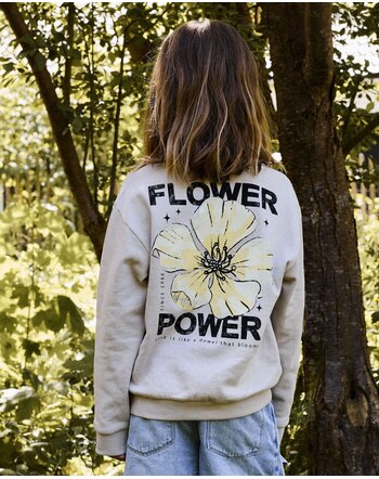 Name it Sweatshirt aus Bio-Baumwolle NKFDIFO - Chateau Gray