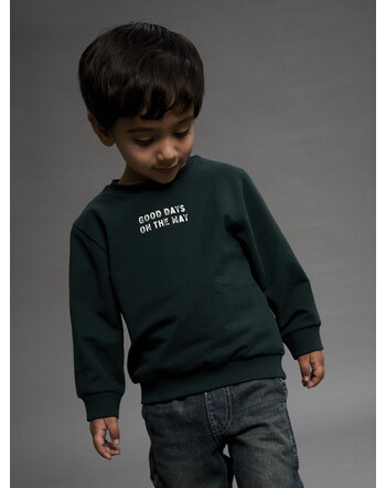 Name it Sweatshirt aus Bio-Baumwolle NMMSLADE - Pine Grove