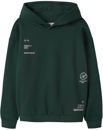 Name it Thermo-Hoodie aus Bio-Baumwolle NMKMOFRANNE - Pine Grove