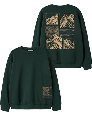 Name it Thermo-Sweatshirt aus Bio-Baumwolle NKMOFRANZ - Pine Grove