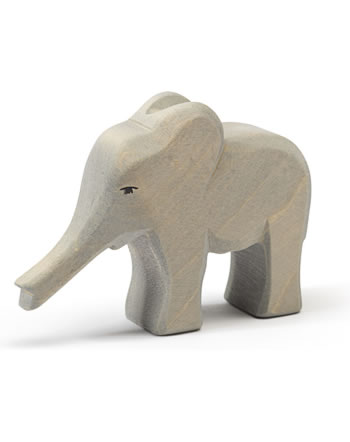 Ostheimer elephant small trunk out