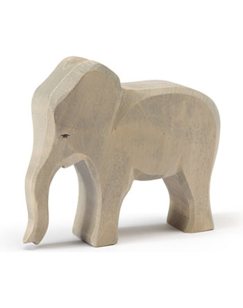 Ostheimer elephant cow