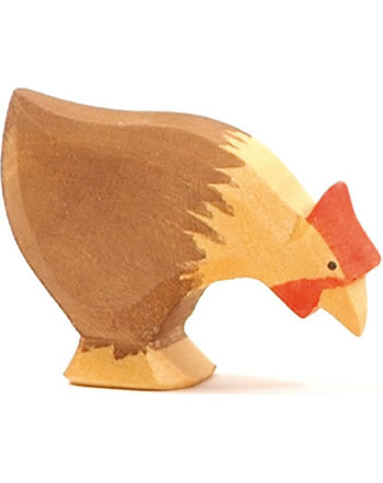 Ostheimer brown chicken pecking