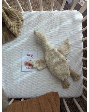 Senger Naturwelt Wärmetier Gans klein 47 cm - Leinen