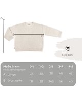 lille-toni-strickpullover-paul-aus-merinowolle-mauve