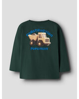 name-it-langarmshirt-aus-100-bio-baumwolle-nmmobrian-pine-grove