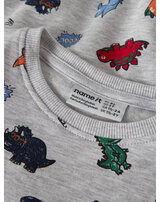 name-it-sweatshirt-bio-baumwolle-coolen-prints-nmmleon-light-grey-melange