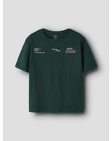 name-it-t-shirt-aus-100-bio-baumwolle-nkmohannes-pine-grove