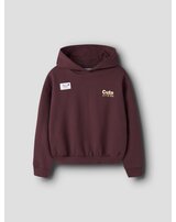 name-it-thermo-hoodie-aus-bio-baumwolle-mit-prints-nkfroloui-catawba-grape