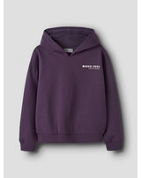name-it-thermo-hoodie-aus-bio-baumwolle-nkfoda-navy-cosmos