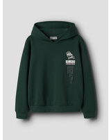 name-it-thermo-hoodie-aus-bio-baumwolle-nkfoda-pine-grove
