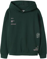 name-it-thermo-hoodie-aus-bio-baumwolle-nmkmofranne-pine-grove