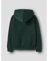 name-it-thermo-hoodie-aus-bio-baumwolle-nmkmofranne-pine-grove
