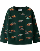 name-it-thermo-sweatshirt-aus-100-bio-baumwolle-nmmonikian-pine-grove