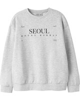 name-it-thermo-sweatshirt-aus-bio-baumwolle-nkmofranz-light-grey-melange