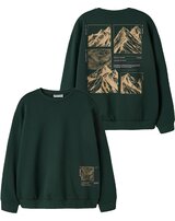 name-it-thermo-sweatshirt-aus-bio-baumwolle-nkmofranz-pine-grove