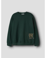 name-it-thermo-sweatshirt-aus-bio-baumwolle-nkmofranz-pine-grove