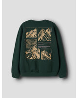 name-it-thermo-sweatshirt-aus-bio-baumwolle-nkmofranz-pine-grove
