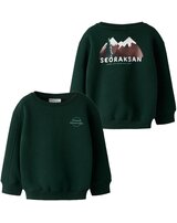 name-it-thermo-sweatshirt-aus-bio-baumwolle-nmmonikkel-pine-grove