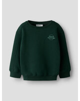 name-it-thermo-sweatshirt-aus-bio-baumwolle-nmmonikkel-pine-grove