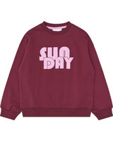 the-new-sweatshirt-aus-100-bio-baumwolle-mit-schriftzug-burgundy-tn