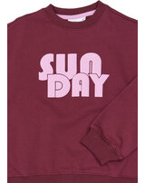 the-new-sweatshirt-aus-100-bio-baumwolle-mit-schriftzug-burgundy-tn