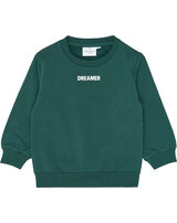 the-new-sweatshirt-aus-bio-baumwolle-mit-skater-grafik-june-bug