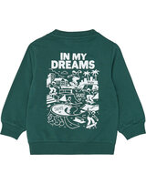 the-new-sweatshirt-aus-bio-baumwolle-mit-skater-grafik-june-bug