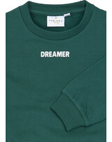 the-new-sweatshirt-aus-bio-baumwolle-mit-skater-grafik-june-bug