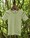 cosilana-t-shirt-unterhemd-merinowolle-seide-gruen-natur