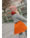 disana-walk-rock-schurwolle-gots-orange-3521771