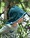 finkid-sonnenhut-suedwester-ranta-sport-upf-50-deep-teal-mosaic