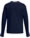 jack-jones-junior-t-shirt-langarm-jjeorganic-noos-navy-blazer-12197050