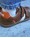 koel-barfussschuh-denis-napa-new-3-mit-mittlerer-zehenbox-cognac-orange