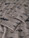 name-it-leggings-aus-100-merinowolle-mit-fahrzeugen-nmmwang-noos-satellite