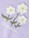 name-it-sweatshirt-aus-100-baumwolle-mit-blumen-nmfdaniea-lavendula