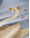 name-it-sweatshirt-aus-100-baumwolle-mit-schwan-nmfvalona-subdued-blue