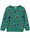 name-it-sweatshirt-aus-100-baumwolle-nmmlei-fir-