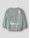 name-it-sweatshirt-aus-baumwolle-mit-drachen-nmmkimo-green-milieu