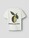 name-it-t-shirt-100-bio-baumwolle-oliven-print-nkmhalman-cloud-dancer-olive