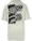 name-it-t-shirt-kurzarm-nkmoarry-moonbeam-13230922